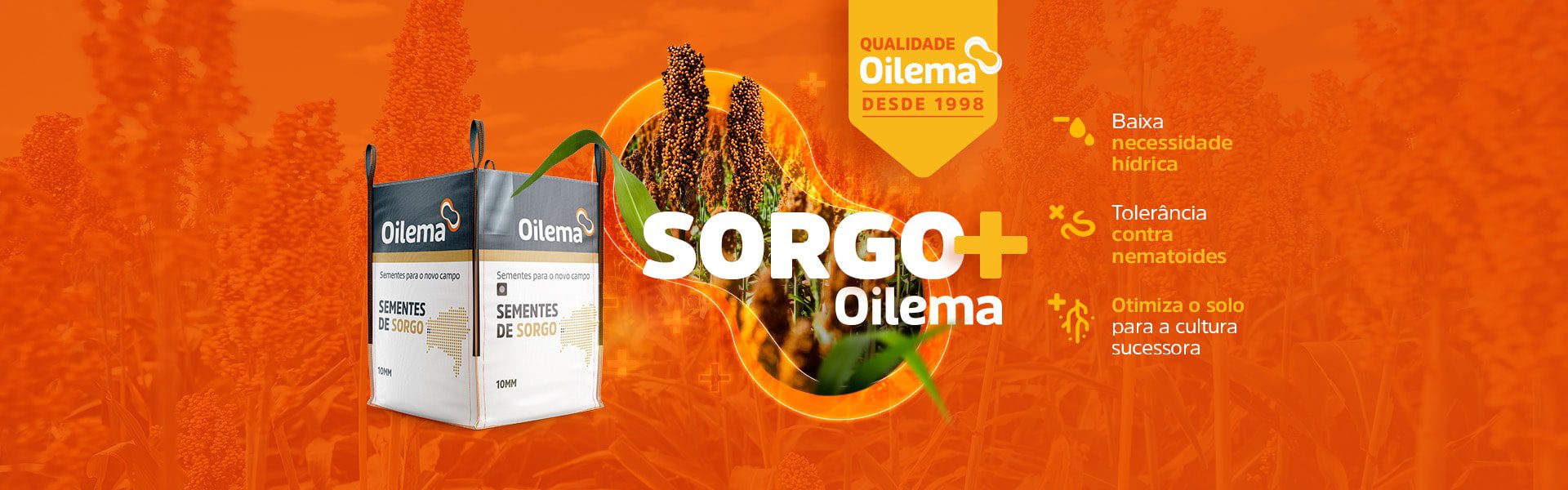 Sementes oilema Home 4 oilema sorgo 1920x600-min