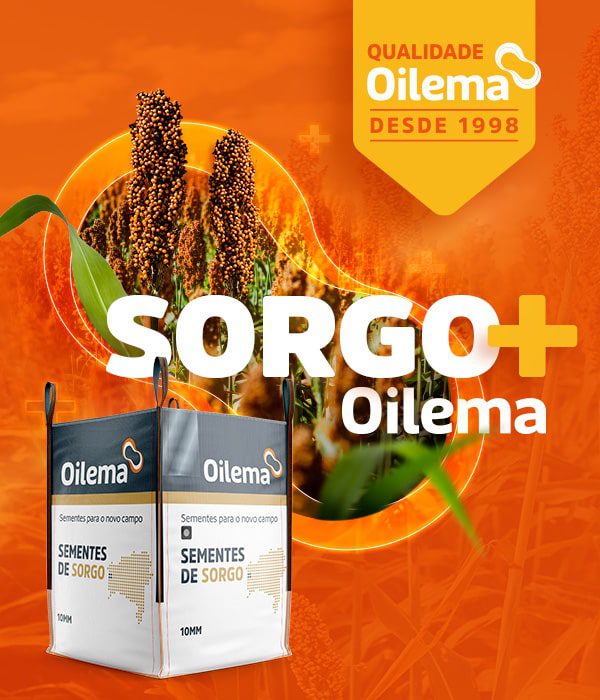 Sementes oilema Home 8 oilema sorgo 600x700-min