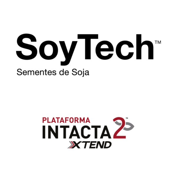 Sementes oilema SOYTECH 822 min