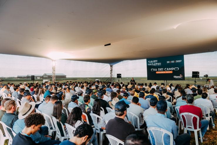 Sementes oilema Dia de Campo Oilema enfatiza eficiencia operacional e produtividade1