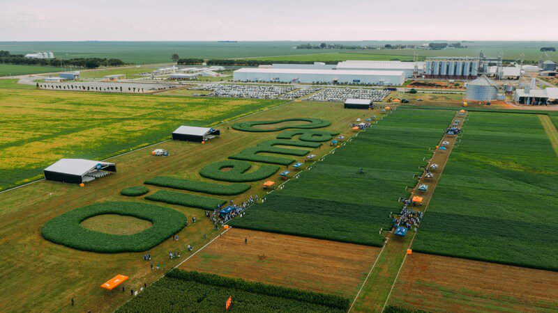 Sementes oilema DJI 20260207082830 0448 D SNDRSON.jpg1