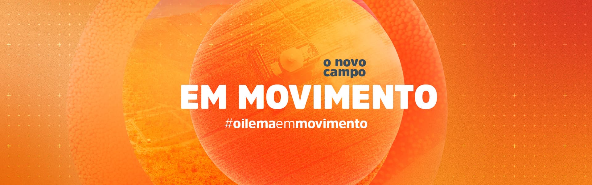 Sementes oilema Home 3 banner - sementes oilema