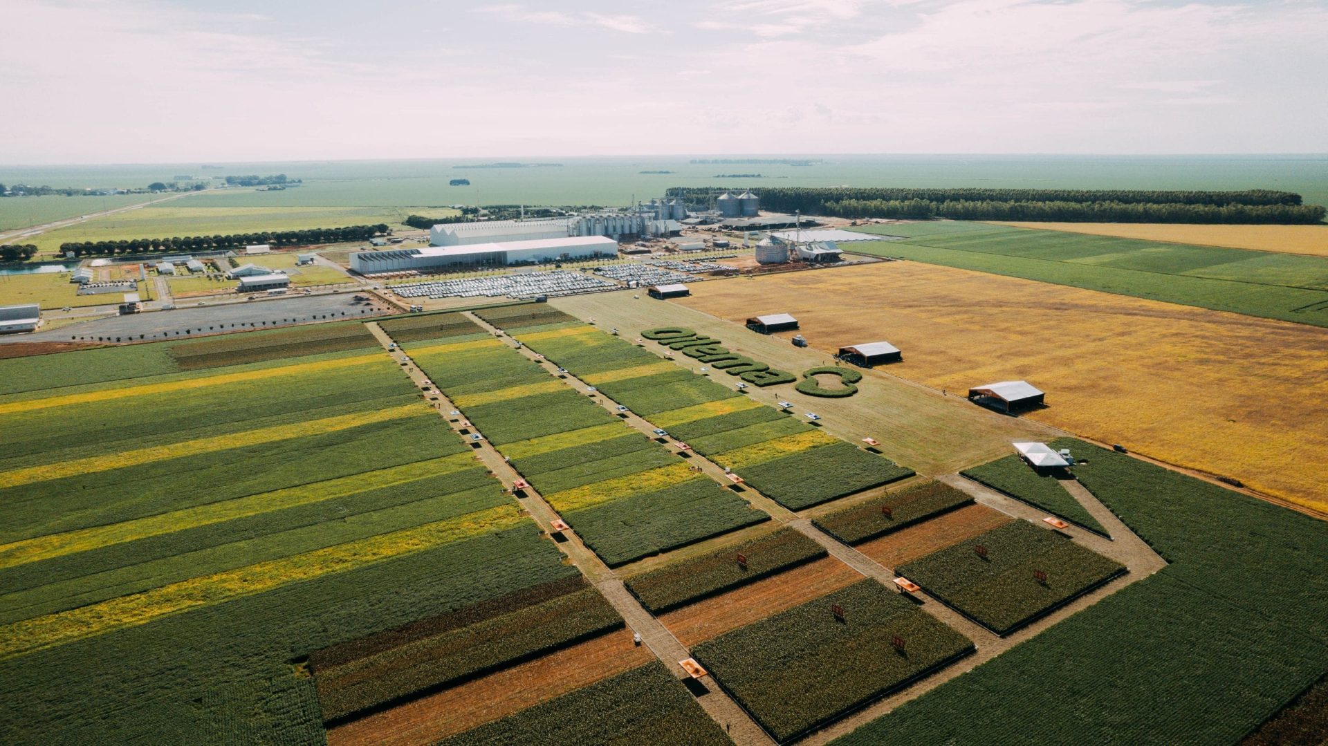 Sementes oilema Home 17 Sementes oilema Oeste da Bahia – Sucesso no Dia de Campo Oilema 2025 reafirma compromisso da Sementes Oilema com a inovacao no agro min scaled