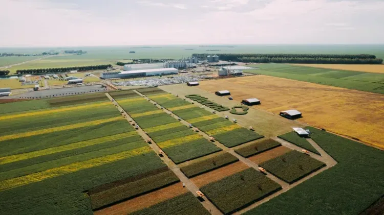 Sementes oilema Gestao eficiencia e sucessao familiar pautarao o Dia de Campo da Oilema 1