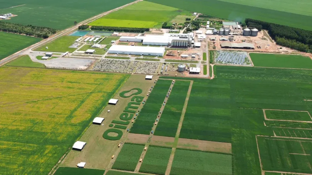 Sementes oilema dia de campo destaca inovacoes geneticas e tecnologias para o matopiba 1